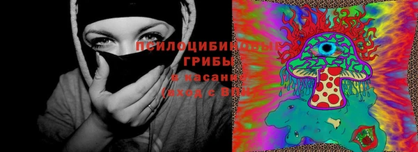 герыч Алзамай