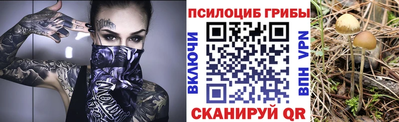 Галлюциногенные грибы MAGIC MUSHROOMS Уяр